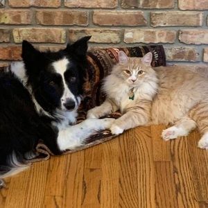 Meet your Posher, Katherine